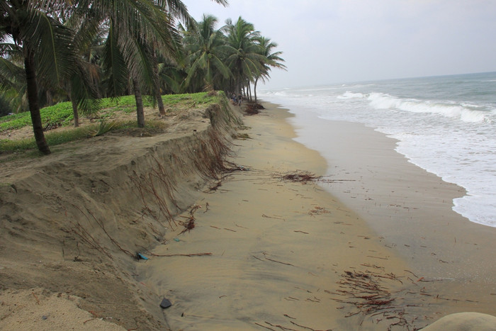 Khoảng một tuần trở lại đây, mưa lớn, sóng biển dâng cao đã đánh sập hàng rào chắn bằng bê-tông khiến bở biển Cửa Đại dài khoảng 3km (phường Cửa Đại, thành phố Hội An, Quảng Nam) sạt lở nghiêm trọng. Nhiều nhà hàng, khách sạn, resort...dọc bờ biển này bị đe dọa, có nguy cơ trôi ra biển. Khoảng một tuần trở lại đây, mưa lớn, sóng biển dâng cao đã đánh sập hàng rào chắn bằng bê-tông khiến bở biển Cửa Đại dài khoảng 3km (phường Cửa Đại, thành phố Hội An, Quảng Nam) sạt lở nghiêm trọng. Nhiều nhà hàng, khách sạn, resort...dọc bờ biển này bị đe dọa, có nguy cơ trôi ra biển.
