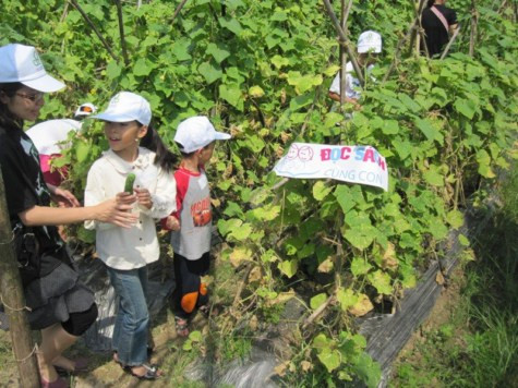 Trại rau ở Thanh Xuân, Sóc Sơn, là những khoảnh ruộng rau hữu cơ trong dự án rau hữu cơ do tổ chức SIDA (Thụy Điển) tài trợ, do Trung tâm hành động vì phát triển đô thị hỗ trợ thực hiện. Chùm ảnh: Tìm giải pháp cải thiện khả năng học hỏi của trẻ Chùm ảnh: Chủ tịch nước trồng cây lưu niệm tại Trường ĐH KHXH & NV Chùm ảnh: Học sinh Hà Nội co ro trong cái lạnh đầu mùa Trại rau ở Thanh Xuân, Sóc Sơn, là những khoảnh ruộng rau hữu cơ trong dự án rau hữu cơ do tổ chức SIDA (Thụy Điển) tài trợ, do Trung tâm hành động vì phát triển đô thị hỗ trợ thực hiện. Chùm ảnh: Tìm giải pháp cải thiện khả năng học hỏi của trẻ Chùm ảnh: Chủ tịch nước trồng cây lưu niệm tại Trường ĐH KHXH & NV Chùm ảnh: Học sinh Hà Nội co ro trong cái lạnh đầu mùa