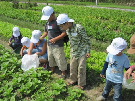 Công việc không đơn giản chút nào, nhất là làm sao không nhầm rau và cỏ. Chùm ảnh: Tìm giải pháp cải thiện khả năng học hỏi của trẻ Chùm ảnh: Chủ tịch nước trồng cây lưu niệm tại Trường ĐH KHXH & NV Chùm ảnh: Học sinh Hà Nội co ro trong cái lạnh đầu mùa Công việc không đơn giản chút nào, nhất là làm sao không nhầm rau và cỏ. Chùm ảnh: Tìm giải pháp cải thiện khả năng học hỏi của trẻ Chùm ảnh: Chủ tịch nước trồng cây lưu niệm tại Trường ĐH KHXH & NV Chùm ảnh: Học sinh Hà Nội co ro trong cái lạnh đầu mùa