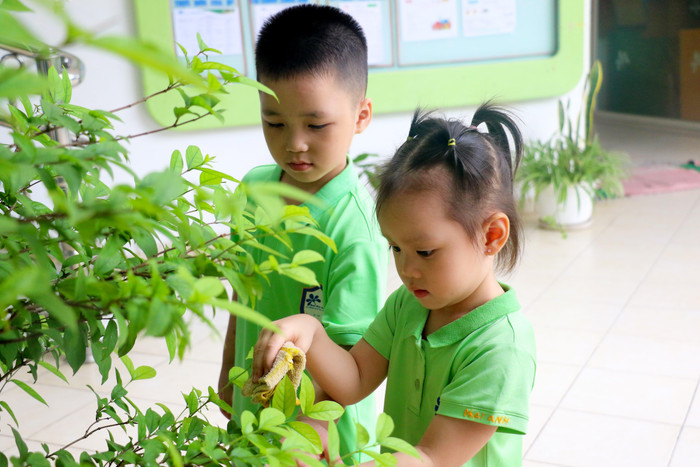 Hoạt động ngoài trời giúp trẻ thêm tôn trọng, yêu quý thiên nhiên. Ảnh: Nhà trường cung cấp Hoạt động ngoài trời giúp trẻ thêm tôn trọng, yêu quý thiên nhiên. Ảnh: Nhà trường cung cấp