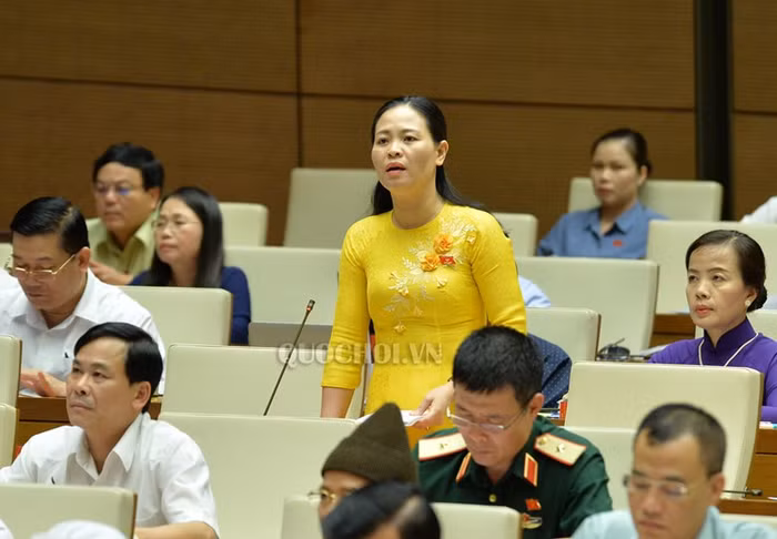Đại biểu Nguyễn Thị Thu Dung. (Ảnh: Quochoi.vn)