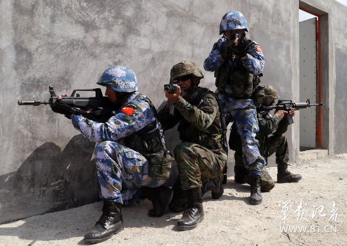 Đặc nhiệm đột kích mục tiêu Đặc nhiệm đột kích mục tiêu