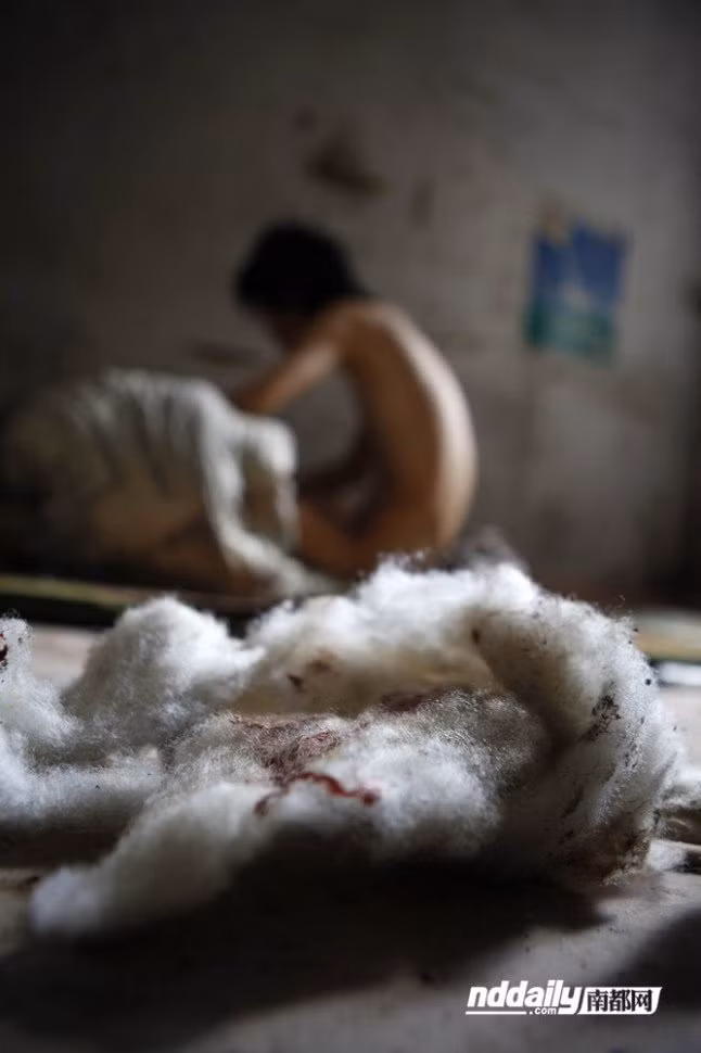 Những miếng bông dính máu vứt rải rác khắp căn phòng hôi hám