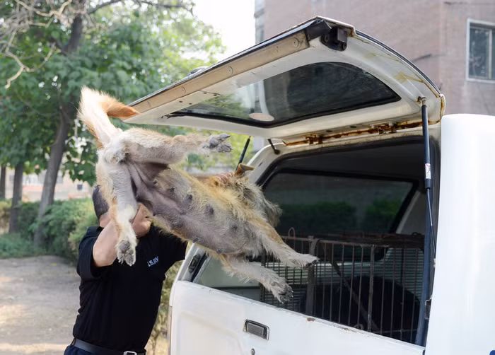 Về đồn rồi hãy ý kiến