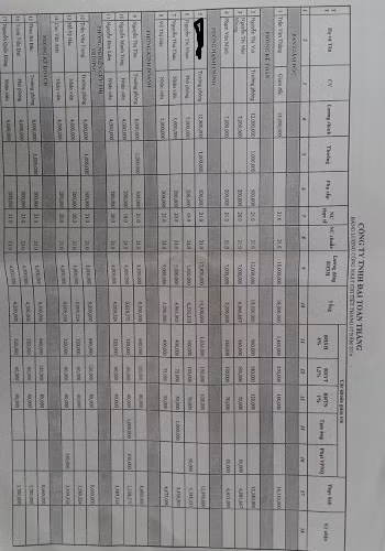 Với chức Trưởng phòng hàng chính của Công ty mỗi tháng bà N. có hơn 12 triệu tiền lương ảo.