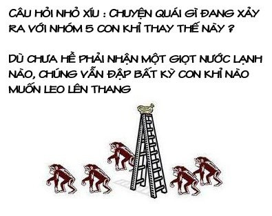 Bé Đỗ Nhật Nam và chuyện... Nobita, Nguyễn Đức Nghĩa ảnh 10 Bé Đỗ Nhật Nam và chuyện... Nobita, Nguyễn Đức Nghĩa ảnh 10