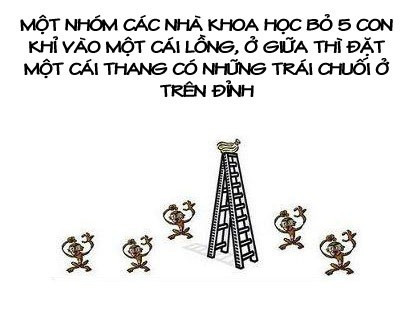 Bé Đỗ Nhật Nam và chuyện... Nobita, Nguyễn Đức Nghĩa ảnh 4 Bé Đỗ Nhật Nam và chuyện... Nobita, Nguyễn Đức Nghĩa ảnh 4