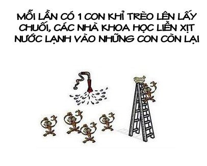 Bé Đỗ Nhật Nam và chuyện... Nobita, Nguyễn Đức Nghĩa ảnh 5 Bé Đỗ Nhật Nam và chuyện... Nobita, Nguyễn Đức Nghĩa ảnh 5