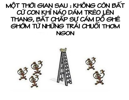 Bé Đỗ Nhật Nam và chuyện... Nobita, Nguyễn Đức Nghĩa ảnh 7 Bé Đỗ Nhật Nam và chuyện... Nobita, Nguyễn Đức Nghĩa ảnh 7