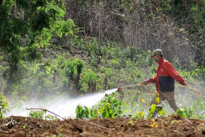 Thuốc trừ sâu, thuốc diệt cỏ độc hại hàng ngày vẫn đang rải xuống đất nông nghiệp của Lào, ảnh: Andrew Bartlett / The Straits Times.