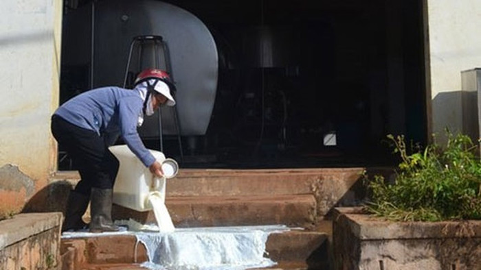 Bi kịch nông dân nuôi bò sữa phải đổ sữa có thể lặp lại, nếu như chuyện nhập nhằng giữa sữa tươi với sữa bột pha lại vẫn còn tiếp tục, ảnh: Báo VnEconomy. Bi kịch nông dân nuôi bò sữa phải đổ sữa có thể lặp lại, nếu như chuyện nhập nhằng giữa sữa tươi với sữa bột pha lại vẫn còn tiếp tục, ảnh: Báo VnEconomy.