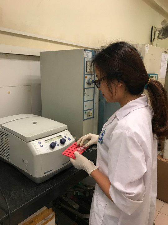 Cô giáo trẻ vẫn miệt mài thắp lửa đam mê. (Ảnh nhân vật cung cấp) Cô giáo trẻ vẫn miệt mài thắp lửa đam mê. (Ảnh nhân vật cung cấp)