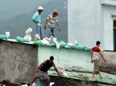 Rất nhiều người dân bị thương trong quá trình chặt tỉa cành cây, chèn chống nhà cửa. Ảnh: Nông nghiệp Việt Nam Rất nhiều người dân bị thương trong quá trình chặt tỉa cành cây, chèn chống nhà cửa. Ảnh: Nông nghiệp Việt Nam