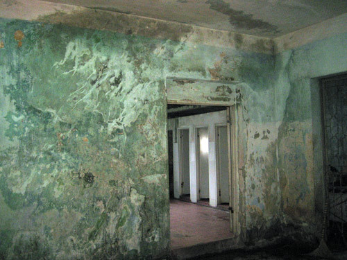 Tường thấm nước, rong rêu tại nhà vệ sinh KTX Trường ĐH Nông lâm TP HCM.