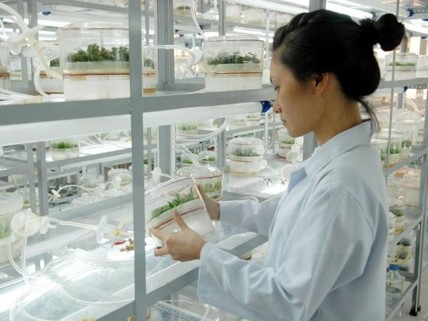 Ảnh minh họa: Vietnamplus Ảnh minh họa: Vietnamplus