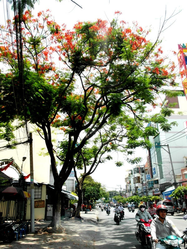 Những con đường trong thành phố đang nắng chói chang....