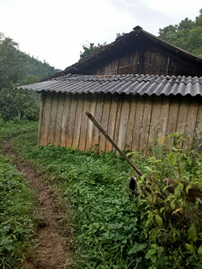 Cư xá trọ học nằm ngay giữa lòng núi.