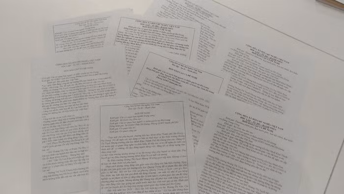 Hàng loạt đơn từ kiến nghị về những sai phạm của trường Tiểu học Minh Khai và Hiệu trưởng Hoàng Thị Tuyết Nhung. Ảnh: LC