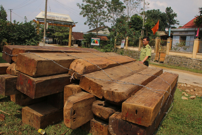 Tang vật cơ quan chức năng thu được trong vụ phá rừng Bà Nà - Núi Chúa. Ảnh T.L