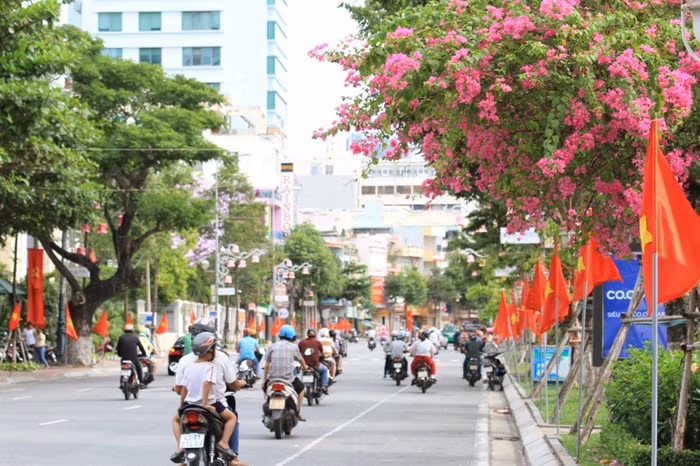 Đà Nẵng lắp đặt hệ thống camera giám sát an ninh, giao thông, trật tự trên địa bàn thành phố. Ảnh: Thùy Linh