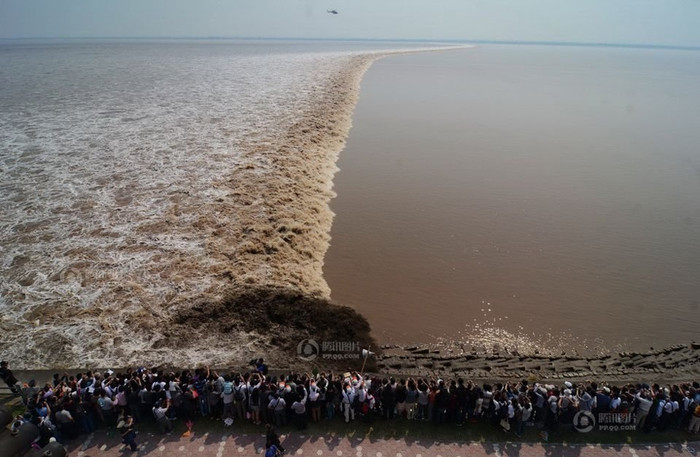 Triều cường trên sông Tiền Đường Triều cường trên sông Tiền Đường