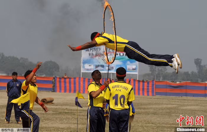 Nhảy qua vòng lửa