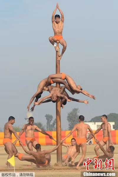 Tạo hình với cột