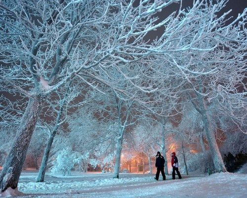 Tuyết rơi trắng xóa, nhiệt độ ngoài trời dưới âm 10 độ C Tuyết rơi trắng xóa, nhiệt độ ngoài trời dưới âm 10 độ C