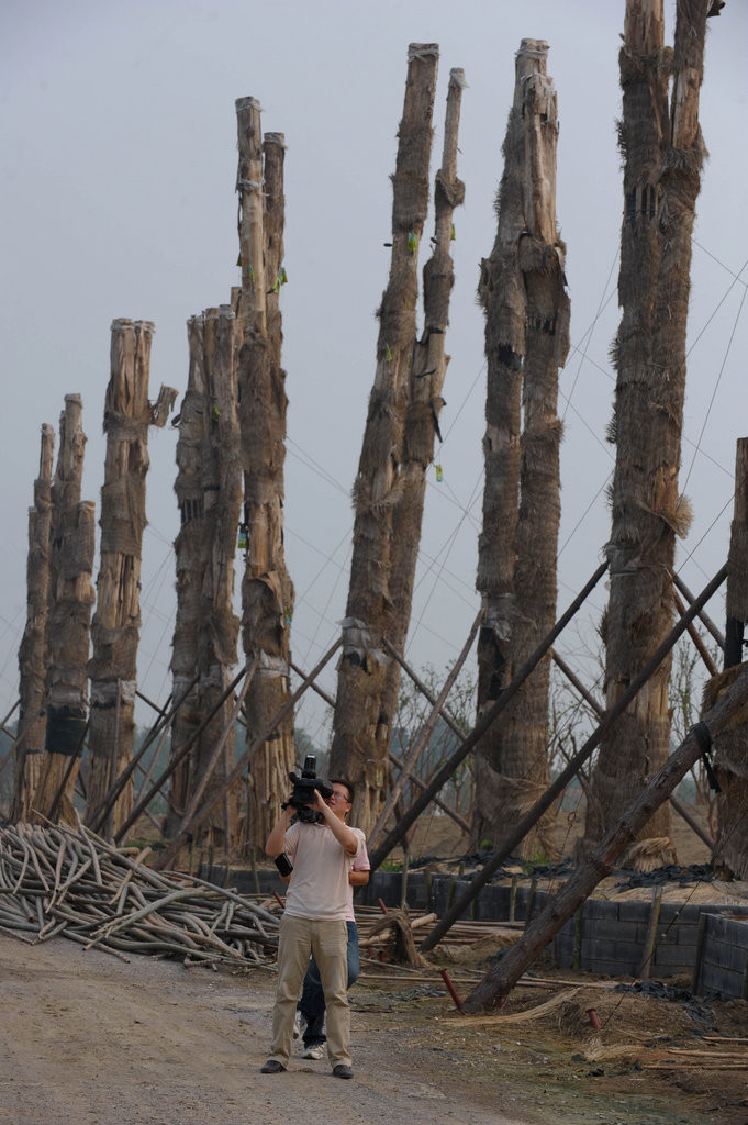 Thương lái Trung Quốc sẵn sàng bỏ cả tỉ VND để bứng cả gốc rễ những cây cổ thụ trong rừng già của Việt Nam đem về trồng làm cảnh Thương lái Trung Quốc sẵn sàng bỏ cả tỉ VND để bứng cả gốc rễ những cây cổ thụ trong rừng già của Việt Nam đem về trồng làm cảnh