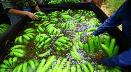 Nền công nghiệp xuất khẩu chuối và nông sản Philippines đã lao đao sau khi phía Trung Quốc cố tình dùng thủ đoạn kinh tế hạn chế (thực tế là cấm) nhập khẩu nông sản từ Philippines nhằm gây sức ép với Manila trong vụ căng thẳng Scarborough