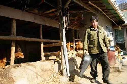 Hình ảnh chân thực về cuộc sống của người lao động xứ Hàn Hình ảnh chân thực về cuộc sống của người lao động xứ Hàn