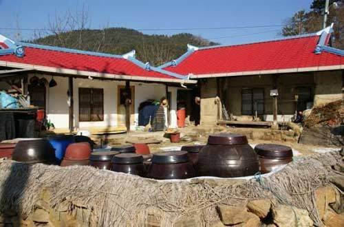 Nhà nhà muối kim chi, hàng cong, hàng vại để dự trữ ăn quanh năm Nhà nhà muối kim chi, hàng cong, hàng vại để dự trữ ăn quanh năm