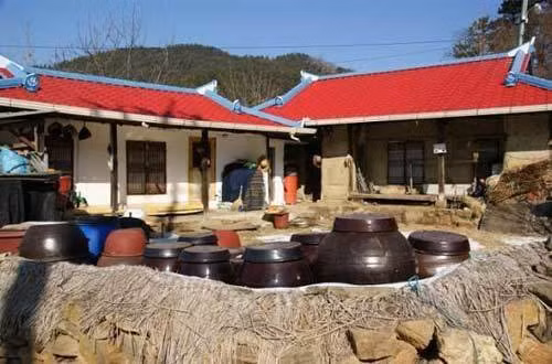 Nhà nhà muối kim chi, hàng cong, hàng vại để dự trữ ăn quanh năm