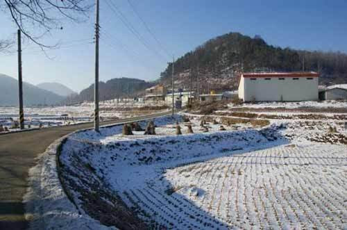 Một đất nước có nền nông nghiệp chủ yếu dựa vào cây lúa, cơm là thức ăn chủ yếu ba bữa một ngày Một đất nước có nền nông nghiệp chủ yếu dựa vào cây lúa, cơm là thức ăn chủ yếu ba bữa một ngày