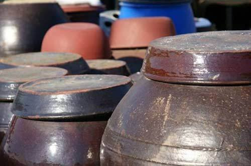 Những vại kim chi được ủ, phơi nắng Những vại kim chi được ủ, phơi nắng