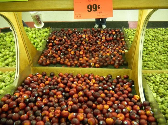 Mỗi một trái cây dù to hay nhỏ đều có tem, nhãn mác cụ thể Mỗi một trái cây dù to hay nhỏ đều có tem, nhãn mác cụ thể