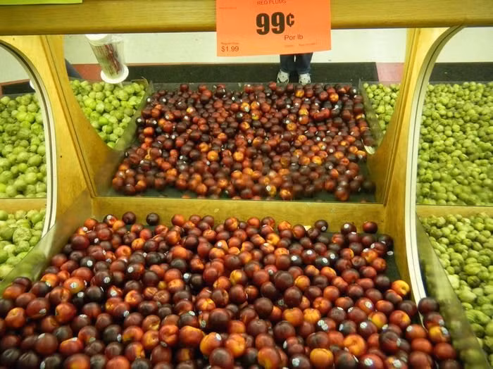 Mỗi một trái cây dù to hay nhỏ đều có tem, nhãn mác cụ thể