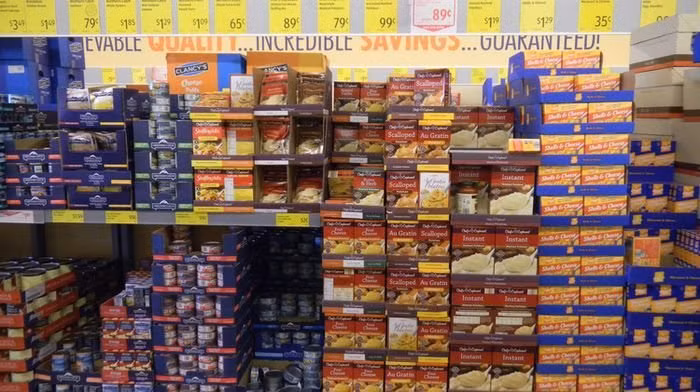 Chủng loại, mẫu mã đa dạng