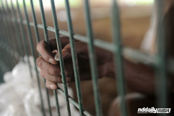 Cuộc đời qua song sắt