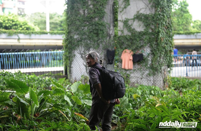 Cư dân "phố gầm cầu" có cả những ông già bà cả