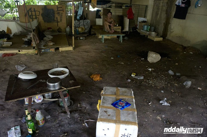 Mọi sinh hoạt của họ đều diễn ra nơi gầm cầu