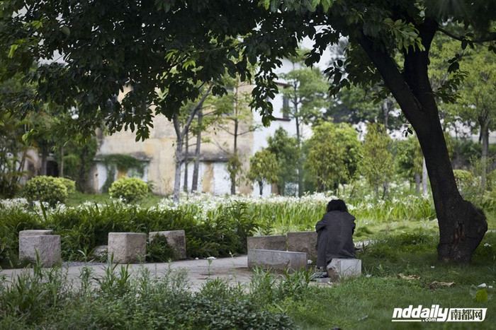 Lẩn thẩn trong công viên