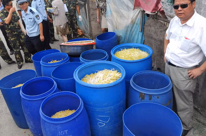 Hơn 500 kg giá đỗ độc hại do ngâm trắng bằng hóa chất đã bị phát hiện và tiêu hủy