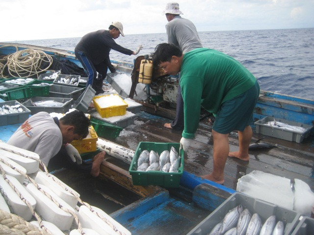 Ngư dân đang đánh bắt cá trên vùng biển Hoàng Sa của Việt Nam. Ảnh H.Q Ngư dân đang đánh bắt cá trên vùng biển Hoàng Sa của Việt Nam. Ảnh H.Q