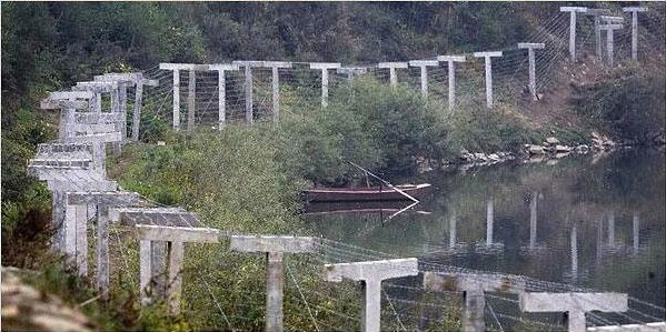 Hình minh họa. Nguồn: Daily Mail.