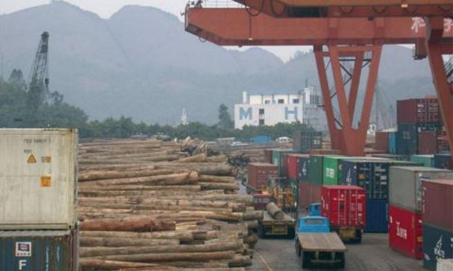 Doanh nghiệp Trung Quốc hoạt động ở nước ngoài nhận được sự hỗ trợ bởi NGO của người Trung Quốc. Ảnh: EIA.