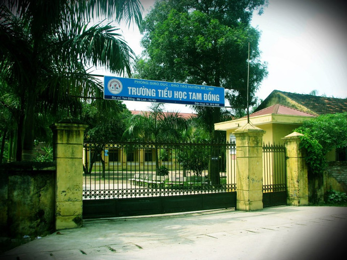 Trong ngày 15/11, Tại trường tiểu học Tam Đồng có 312/612 học sinh nghỉ học. Ảnh: trường tiểu học Tam Đồng Trong ngày 15/11, Tại trường tiểu học Tam Đồng có 312/612 học sinh nghỉ học. Ảnh: trường tiểu học Tam Đồng