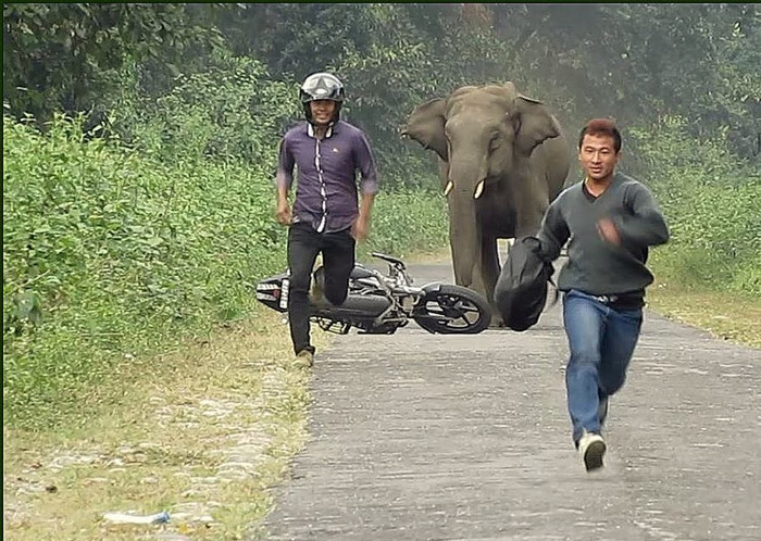 Ông Rodrigo Duterte khiêm nhường hay “đầu hàng” Trung Quốc? ảnh 3 Ông Rodrigo Duterte khiêm nhường hay “đầu hàng” Trung Quốc? ảnh 3