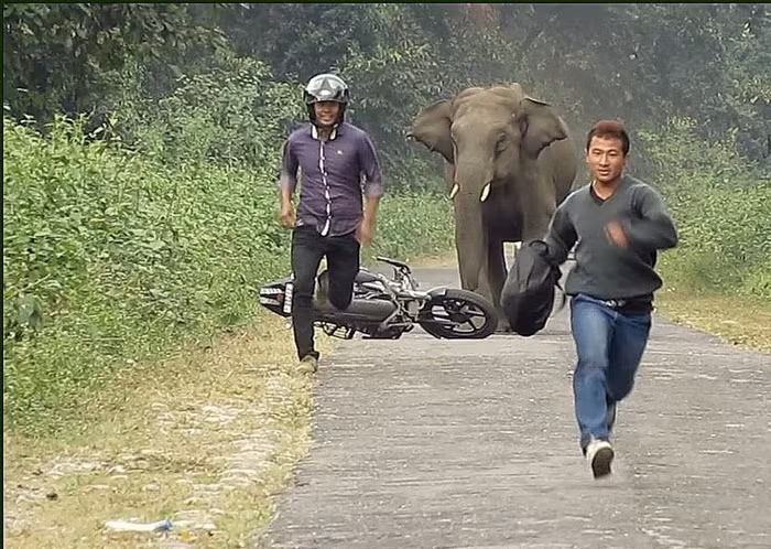 Ông Rodrigo Duterte khiêm nhường hay “đầu hàng” Trung Quốc? ảnh 3