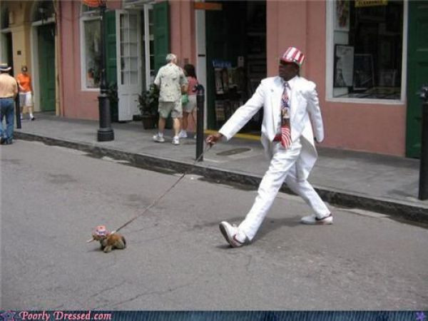 Chủ và tớ cùng băng qua đường.